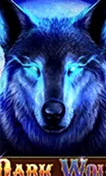 Dark Wolf